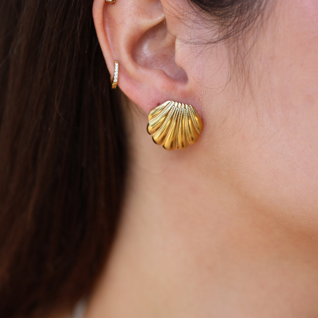 Boucles Coquillage