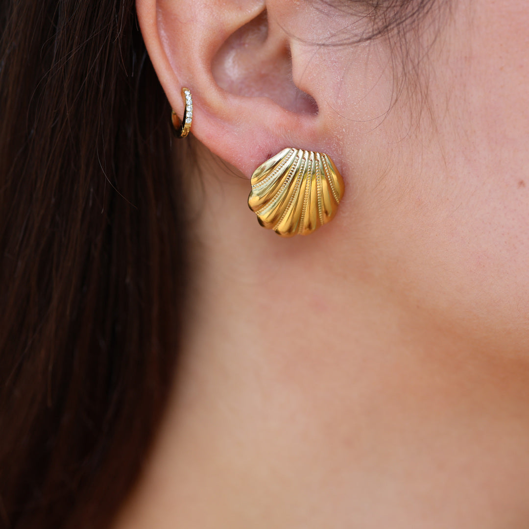 Boucles Coquillage