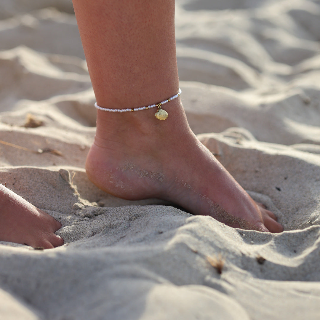 Chaîne Coquillage