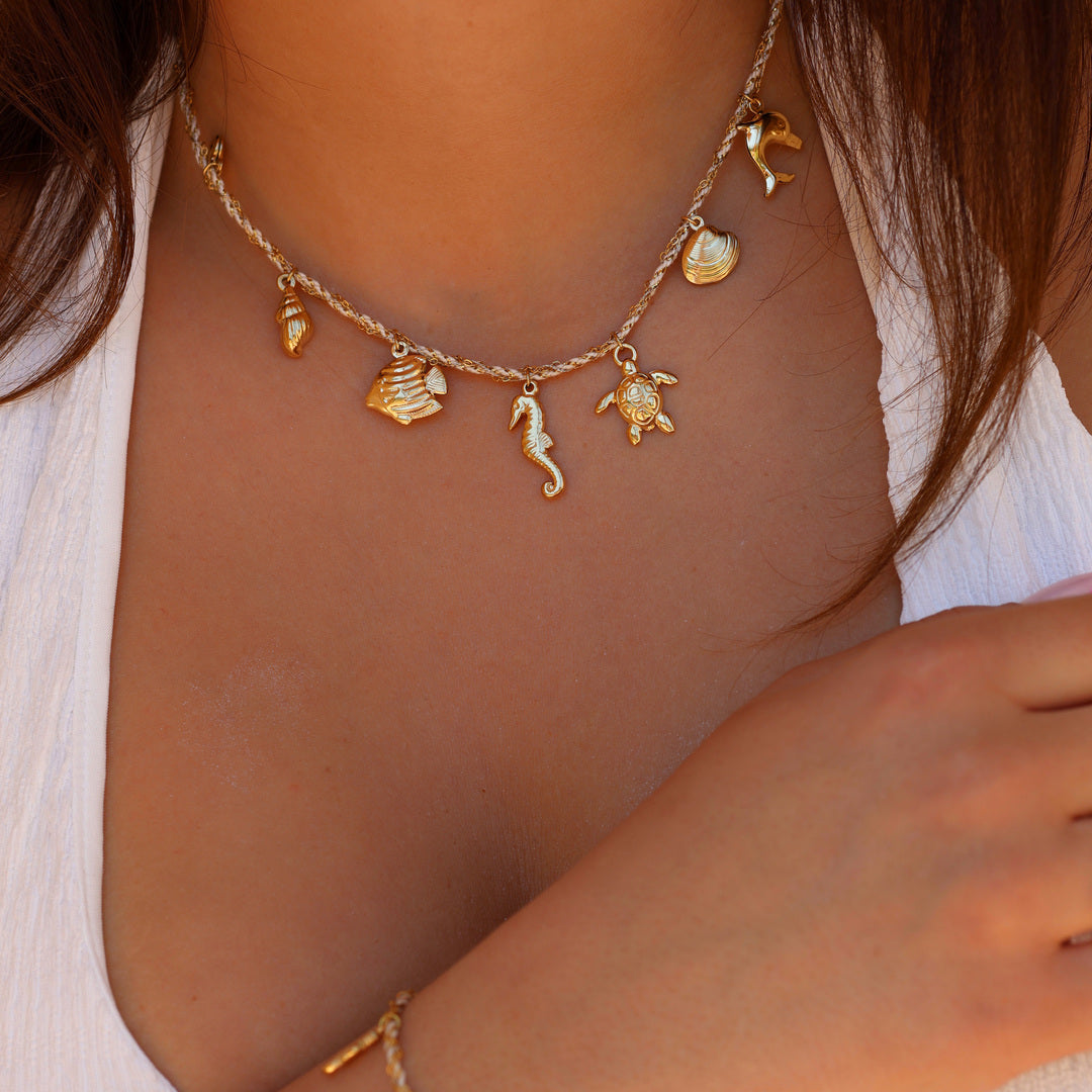 Collier Palm
