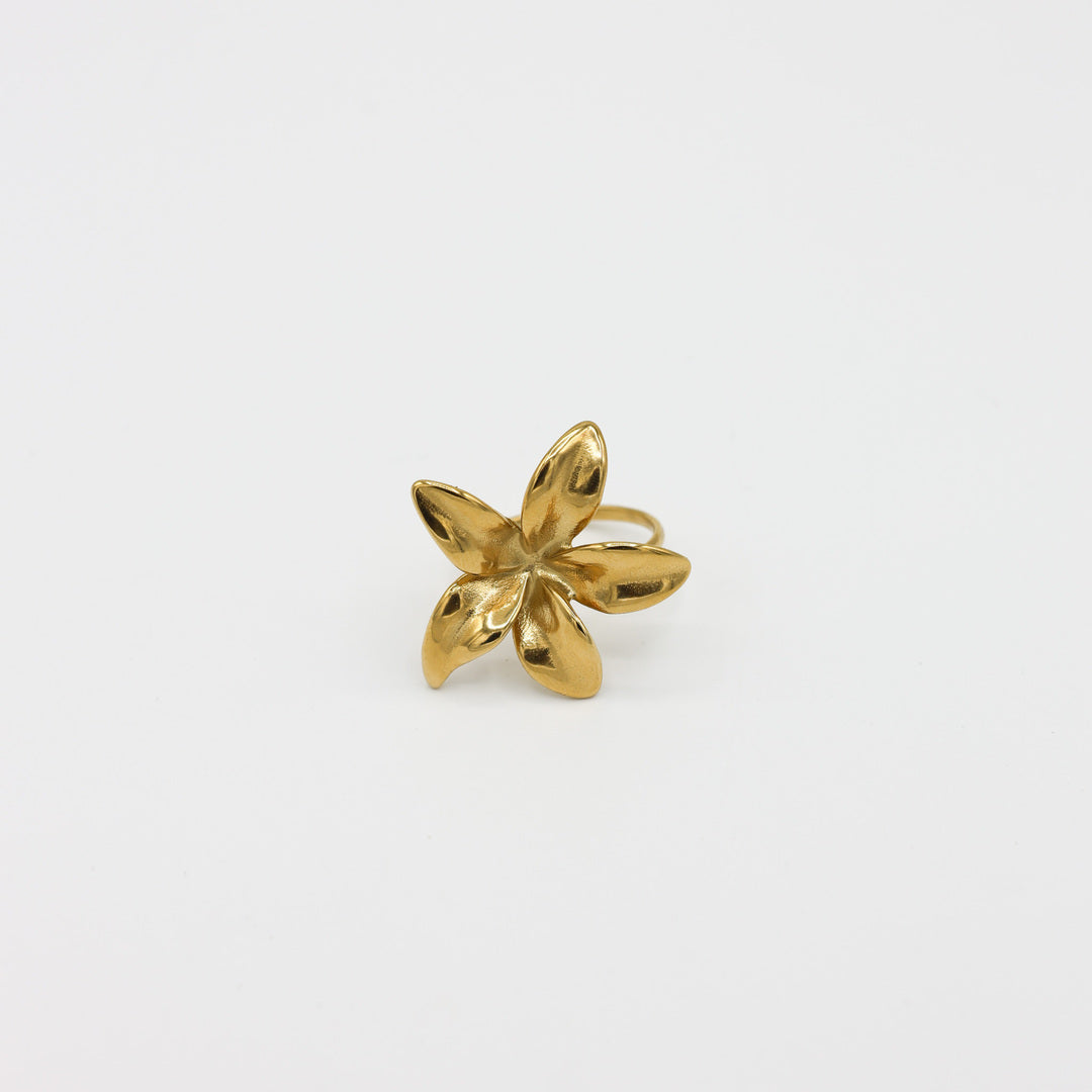 Bague Bahia