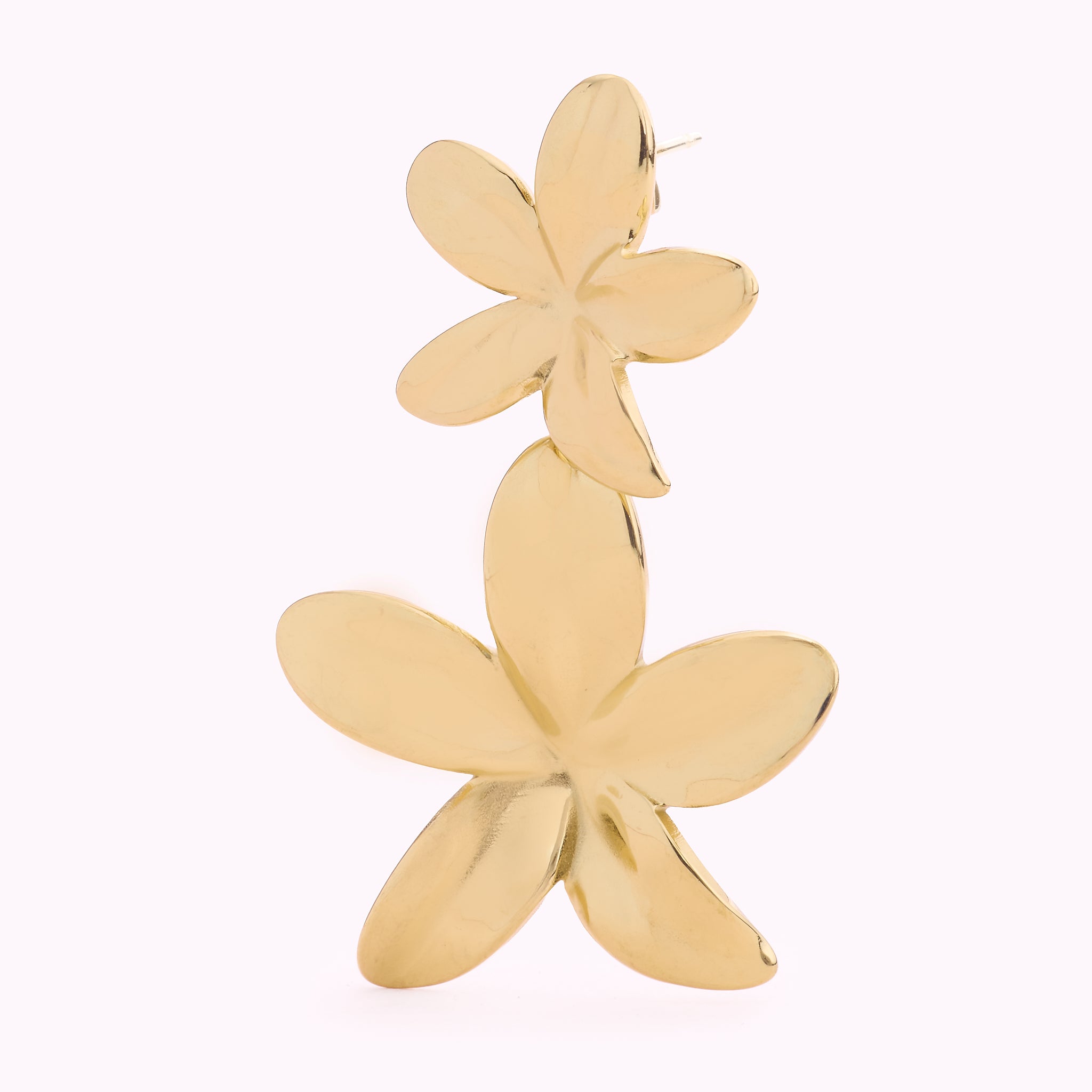 Boucles Moana