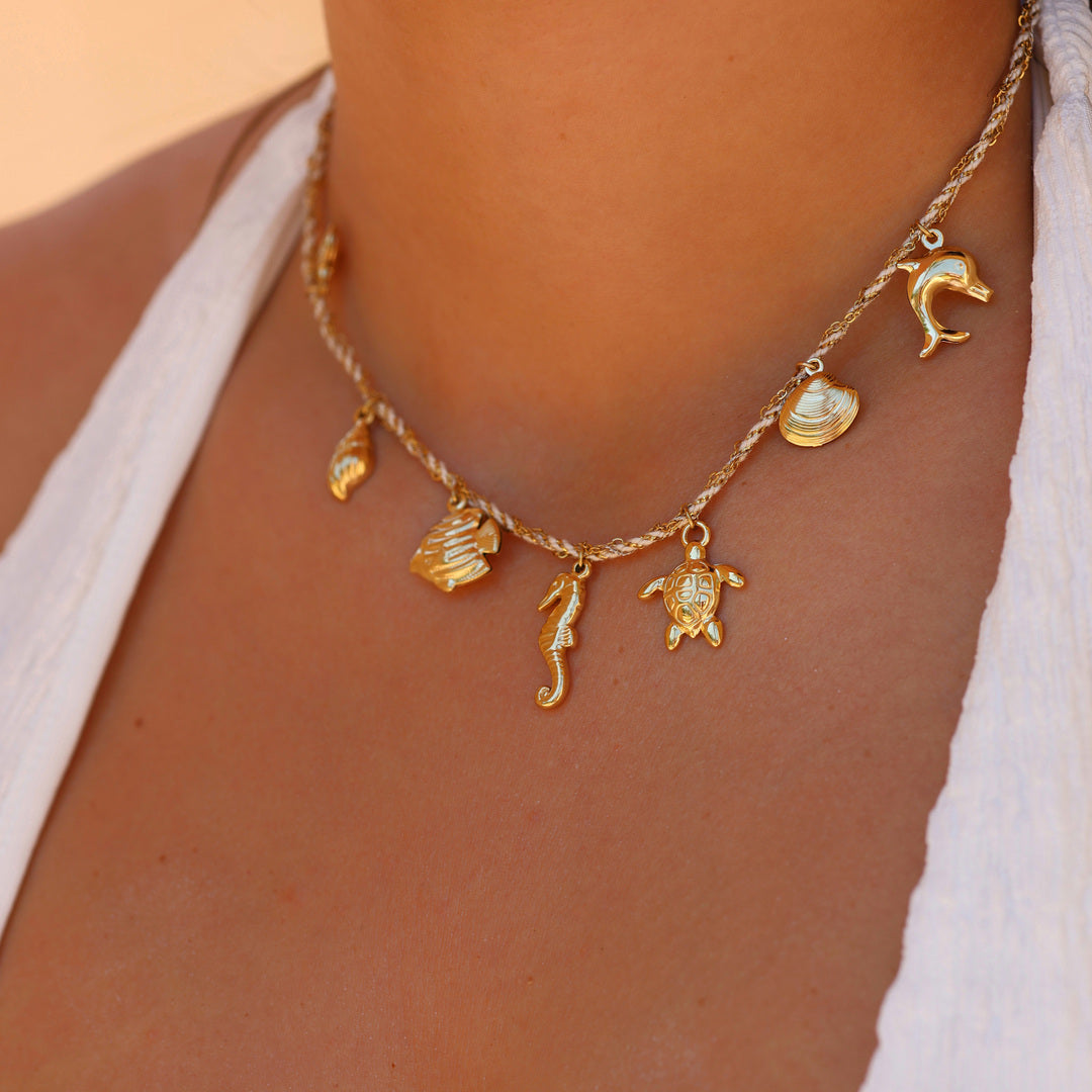 Collier Palm