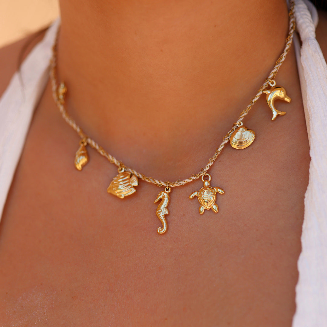 Collier Palm