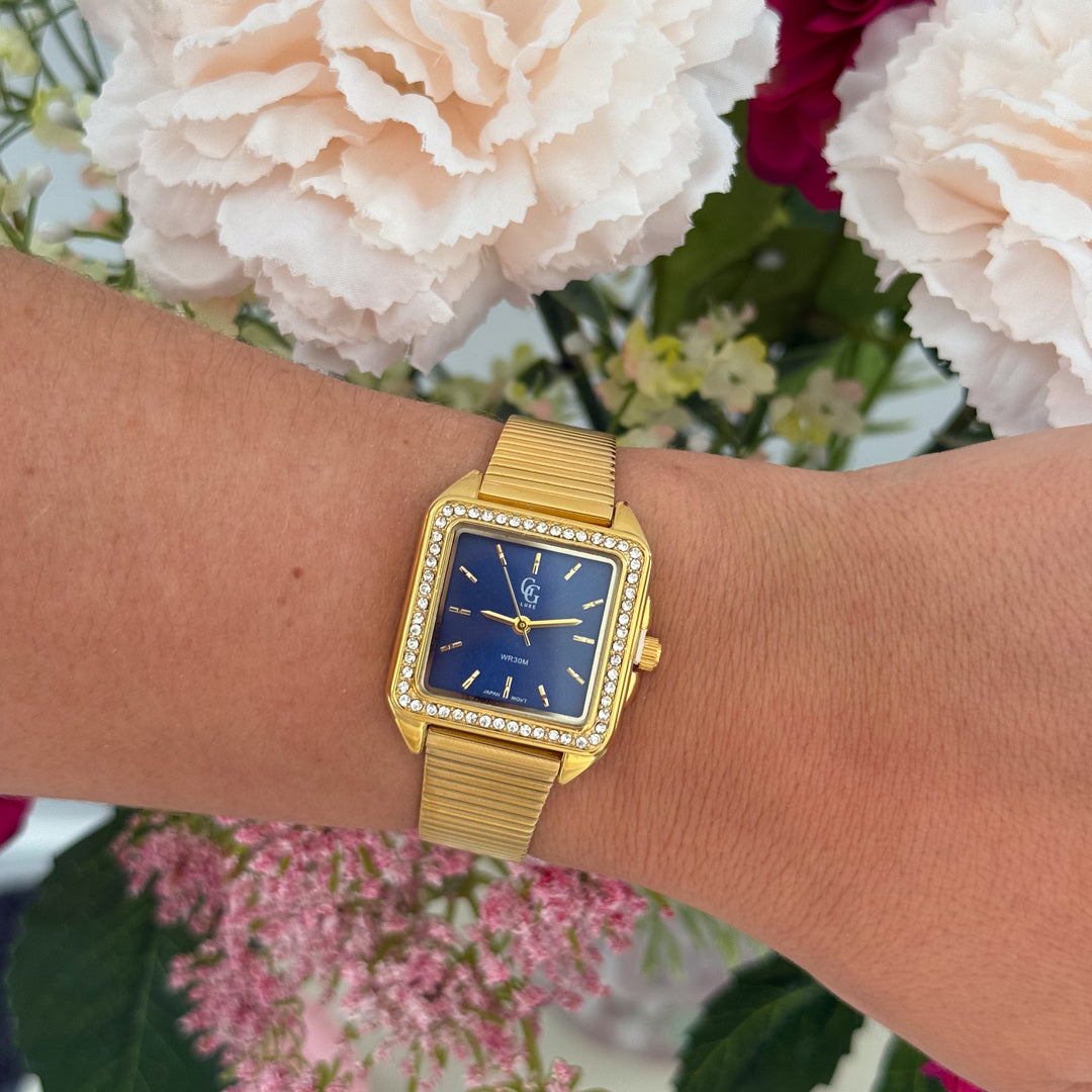 Montre Delhi Bleu